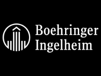 client logo carousel