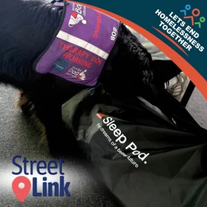 therapy dog with a sleep pod