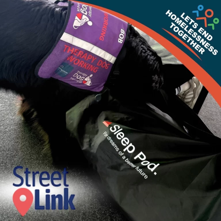 therapy dog with a sleep pod